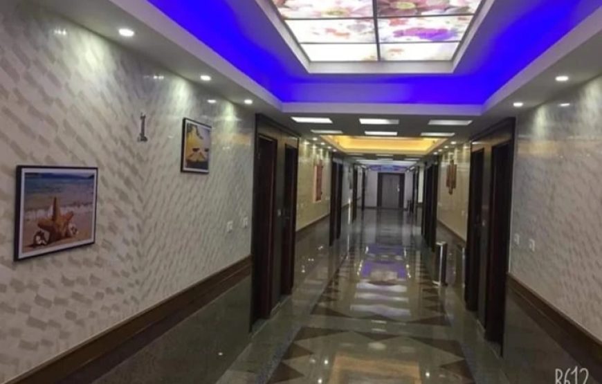 فندق دولفين راس البر Dolphin Ras El Bar Hotel