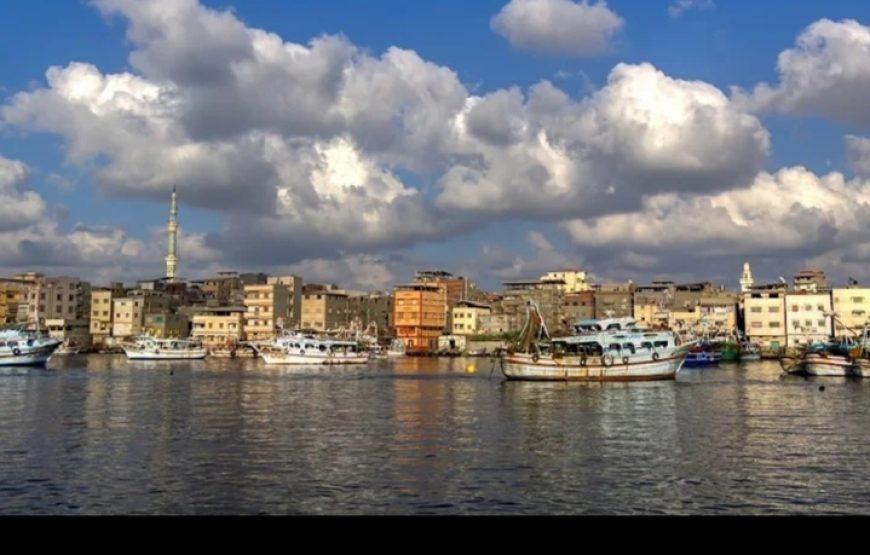 فندق دولفين راس البر Dolphin Ras El Bar Hotel