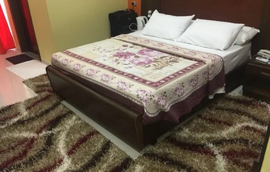 فندق دولفين راس البر Dolphin Ras El Bar Hotel