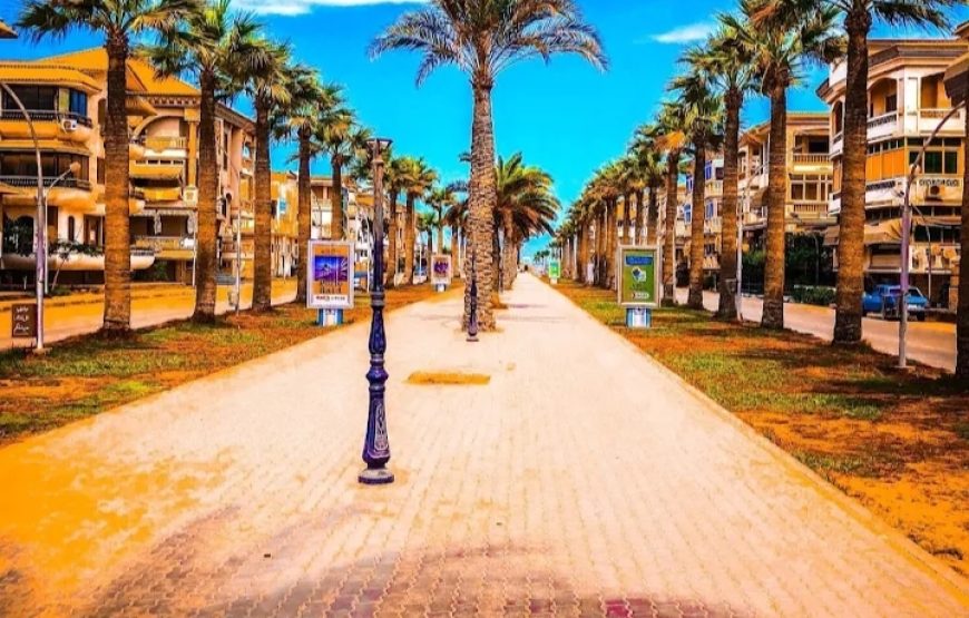 فندق نيو ابو طبل السياحى
